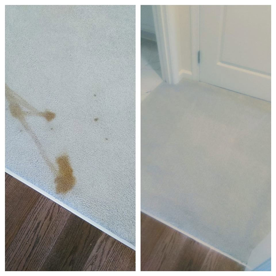 Before and after pet stain removal on carpet by Professional Carpet Systems of Raleigh, NC