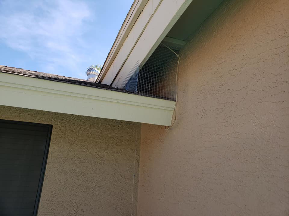 Wire mesh professionally installed for pigeon exclusion under a roof eave by Pigeon Problem Solvers, LLC in Scottsdale, AZ.