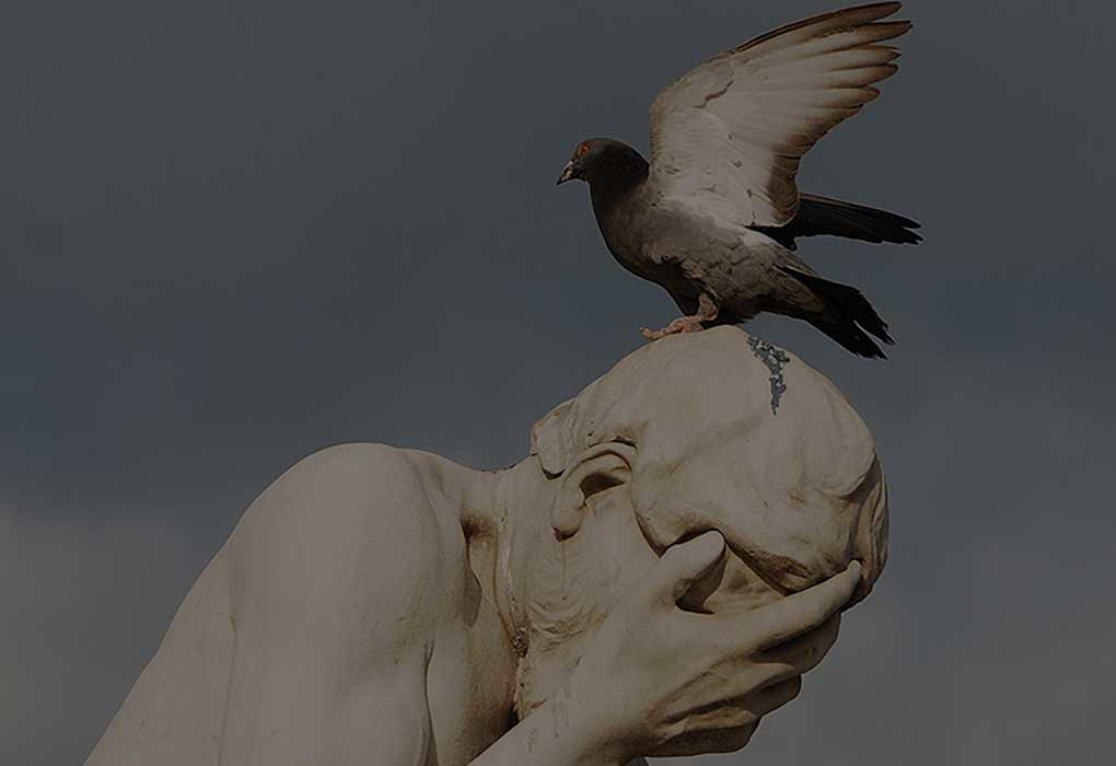 A pigeon perched on a statue, highlighting a common urban bird problem for Pigeon Control Phoenix AZ in Glendale, AZ.