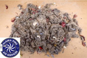 A large pile of dust, lint, and debris, illustrating the results of duct cleaning by Alaska Pure Air Services in Anchorage, AK