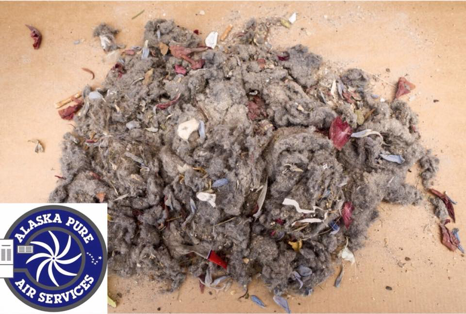A large pile of dust, lint, and debris, illustrating the results of duct cleaning by Alaska Pure Air Services in Anchorage, AK