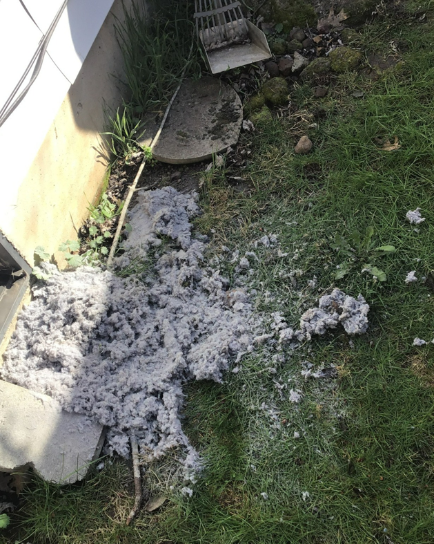 A large pile of lint and debris on the grass, likely from a dryer vent or duct cleaning service by KAP'S HVAC in Portland, OR.