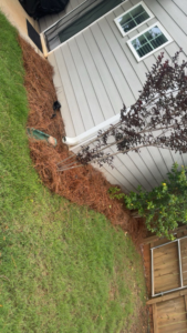 A neatly mulched pine straw bed with shrubs along a house, showcasing landscaping by Elite Landscaping Crew in Auburn, AL.