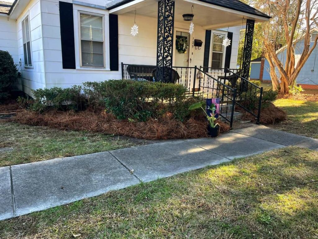 Fresh pine straw mulch applied around bushes at a residential property by Kirby's Lawn Care Service in Franklinton, LA.