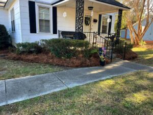 Fresh pine straw mulch applied around bushes at a residential property by Kirby's Lawn Care Service in Franklinton, LA.