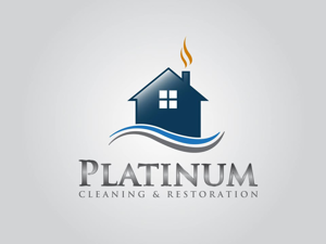 Platinum Cleaning & Restoration