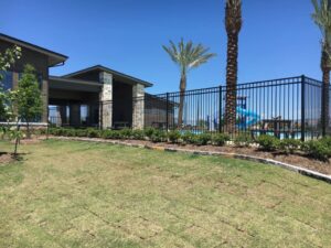 A black ornamental iron fence enclosing a pool area with a slide and palm trees, installed by Texas Fence and Iron Co. in Houston, TX.