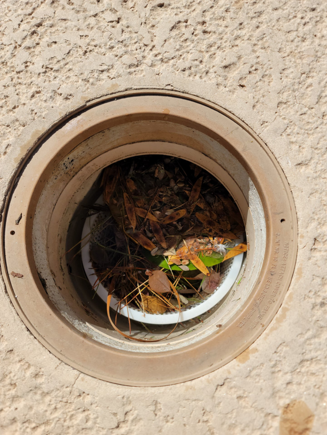 A pool skimmer basket overflowing with leaves and debris, ready for cleaning by Perezidential Pools Service & Repair in Phoenix, AZ.