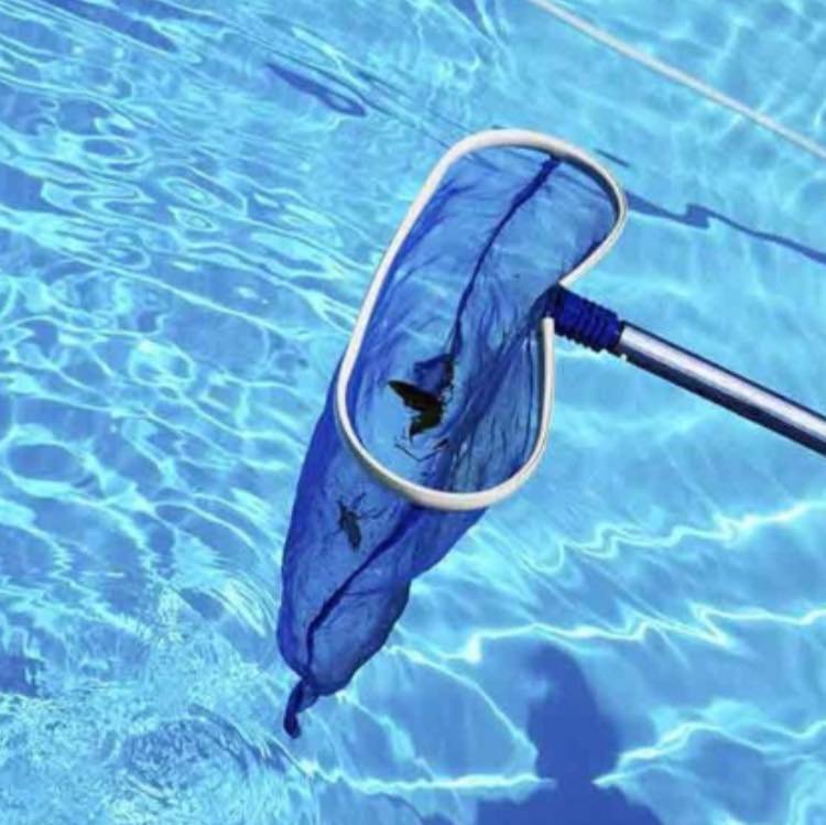 A pool skimmer net with leaves and debris removed from a pool by Four Seasons Pool Services in Shreveport, LA.