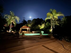 A stunning poolside and palm tree lighting installation by The Lighting Geek in Sacramento, CA.