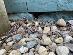 A small dark opening in a light blue brick foundation, indicating a potential pest entry point, addressed by Moderno Pest Control in Fort Wayne, IN.