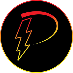 Precision Electric and Lighting Services, LLC