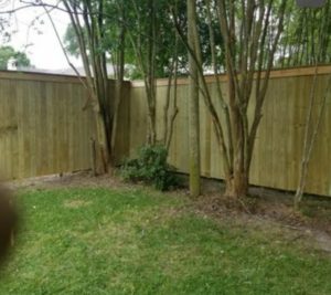 A pressure-treated wood fence enclosing a backyard, installed by Weber Fence LLC in Baton Rouge, LA.