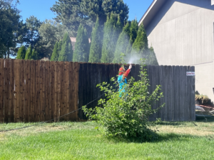 A worker pressure washing a wooden fence, showing before and after sections, by 4Seasons Pools & Pressure Washing in Omaha, NE.
