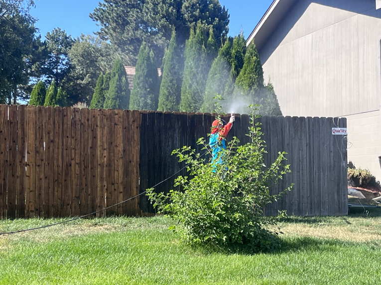 A worker pressure washing a wooden fence, showing before and after sections, by 4Seasons Pools & Pressure Washing in Omaha, NE.
