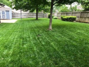 A pristine backyard lawn with perfectly cut grass and distinct stripes, a result of expert mowing by Lande Lawn Care in Broken Arrow, OK.