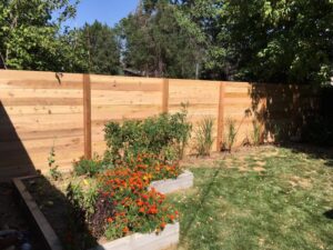 A new privacy wood fence enclosing a backyard with raised garden beds, built by Accent Fence & Design in Lakewood, CO.