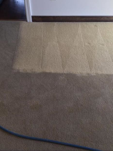 Professional carpet cleaning in progress, showing the clear difference between dirty and clean carpet by Jet Steam Carpet Cleaning in Sitka, AK.