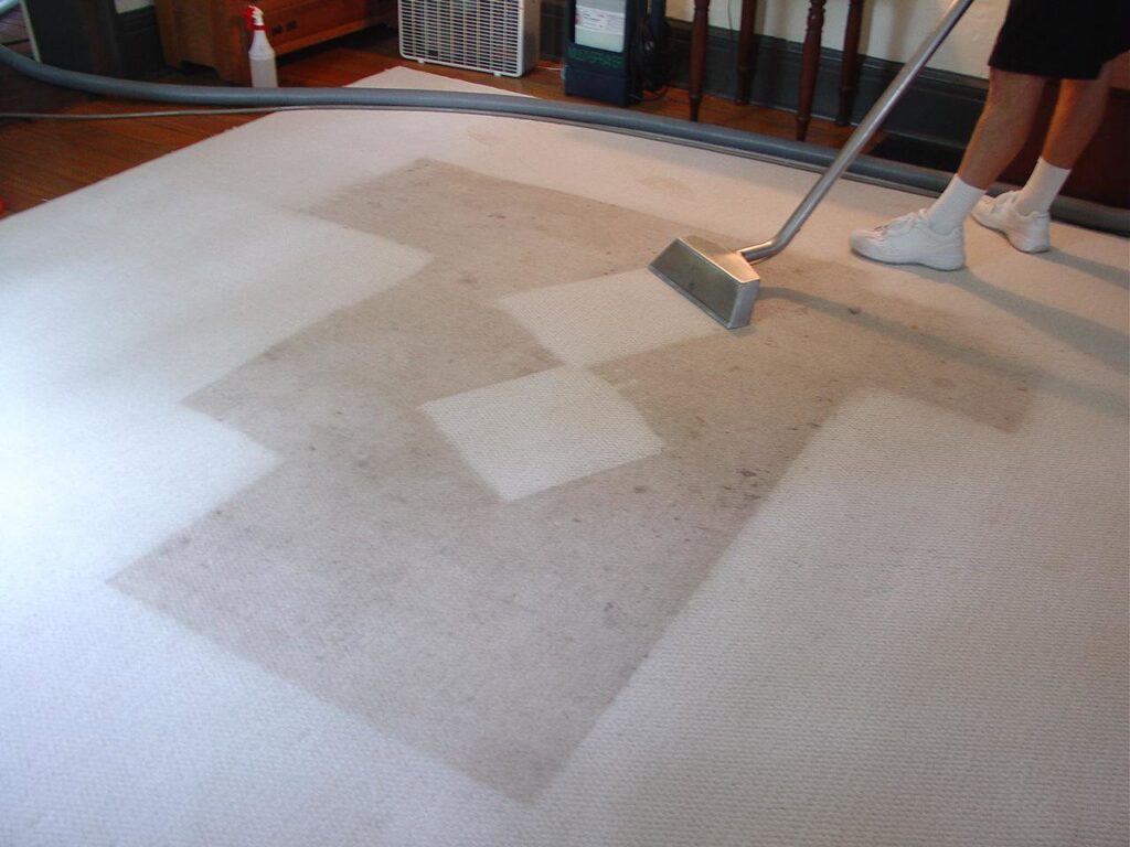 A professional technician cleaning a light-colored carpet, showing clean and dirty sections, by Referral Cleaning and Restoration Inc. in Fort Wayne, IN.