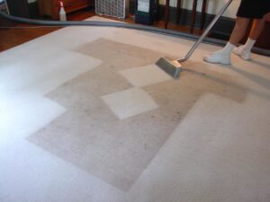 A professional technician cleaning a light-colored carpet, showing clean and dirty sections, by Referral Cleaning and Restoration Inc. in Fort Wayne, IN.