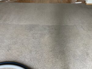Professional carpet cleaning in progress, showing a clean strip next to a dirty area by Captain Clean in Muncie, IN.