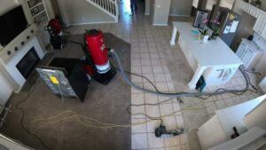 Professional carpet cleaning equipment in use by Dan's Hardwood Flooring in Mesa, AZ