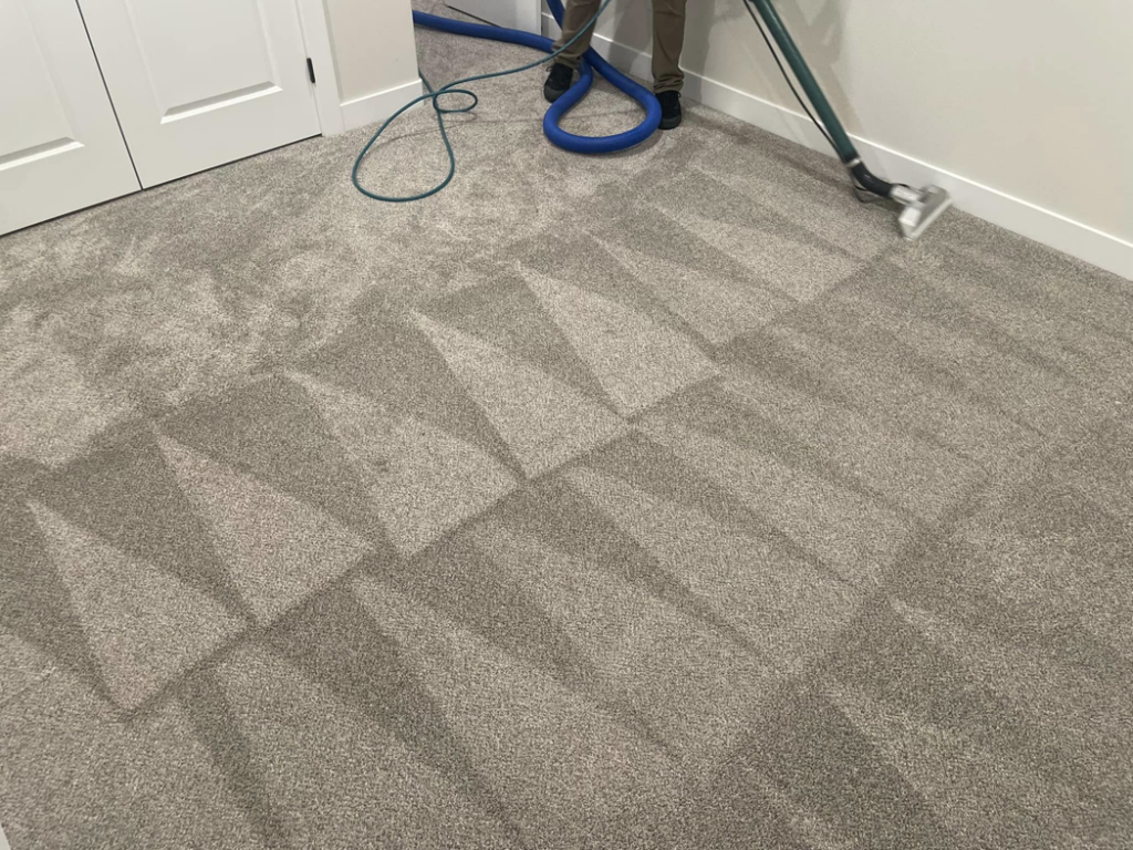 A professional performing carpet cleaning with a wand, leaving clean stripes on a grey carpet at Elite Cleaning Services in Elgin, IL