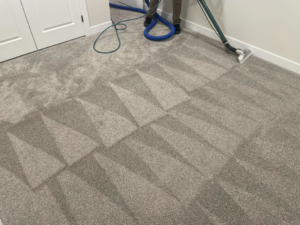 A professional performing carpet cleaning with a wand, leaving clean stripes on a grey carpet at Elite Cleaning Services in Elgin, IL