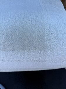 Professional carpet cleaning equipment, an Apex 570 Sapphire Scientific machine, used by ProTech Carpet Care in Greensboro, NC.