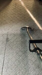 Professional carpet cleaning in progress, showing the cleaning tool and fresh lines by 5 Alarm Carpet Care in West Allis, WI.