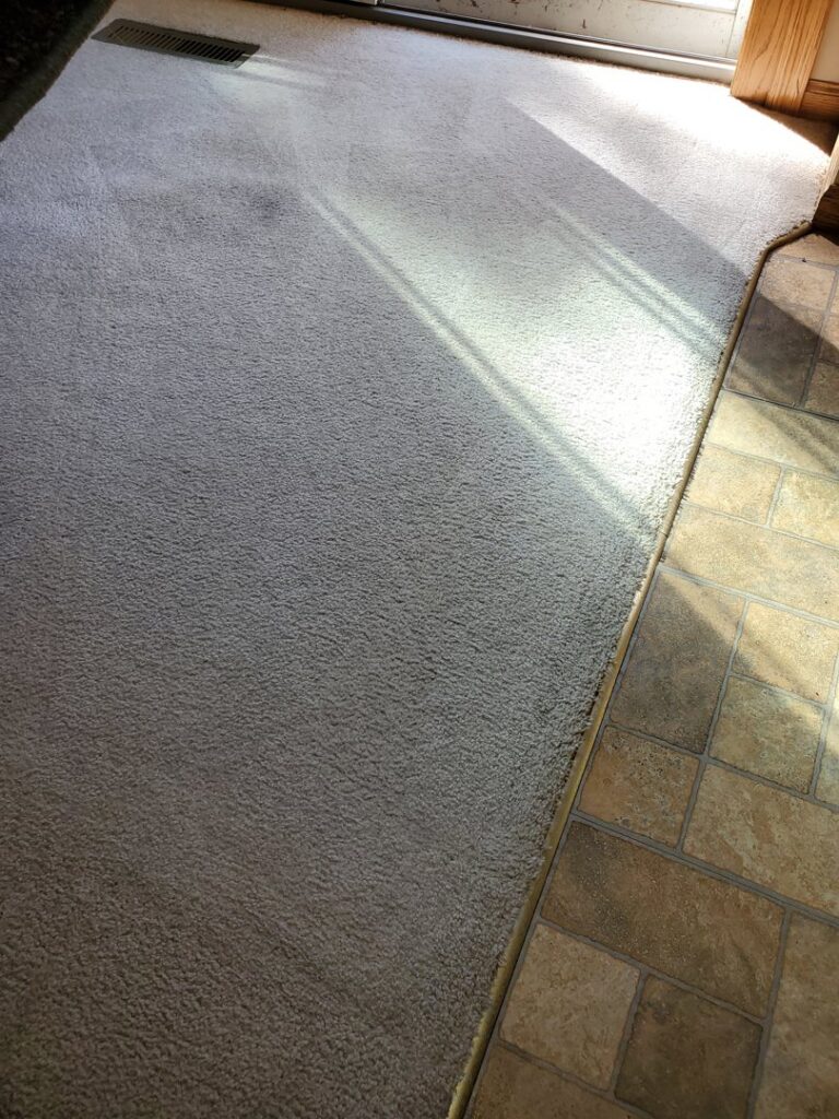 Professional carpet cleaning in progress, showing a clean section next to a dirty one by A-Plus Carpet Cleaners in Plymouth, MN.
