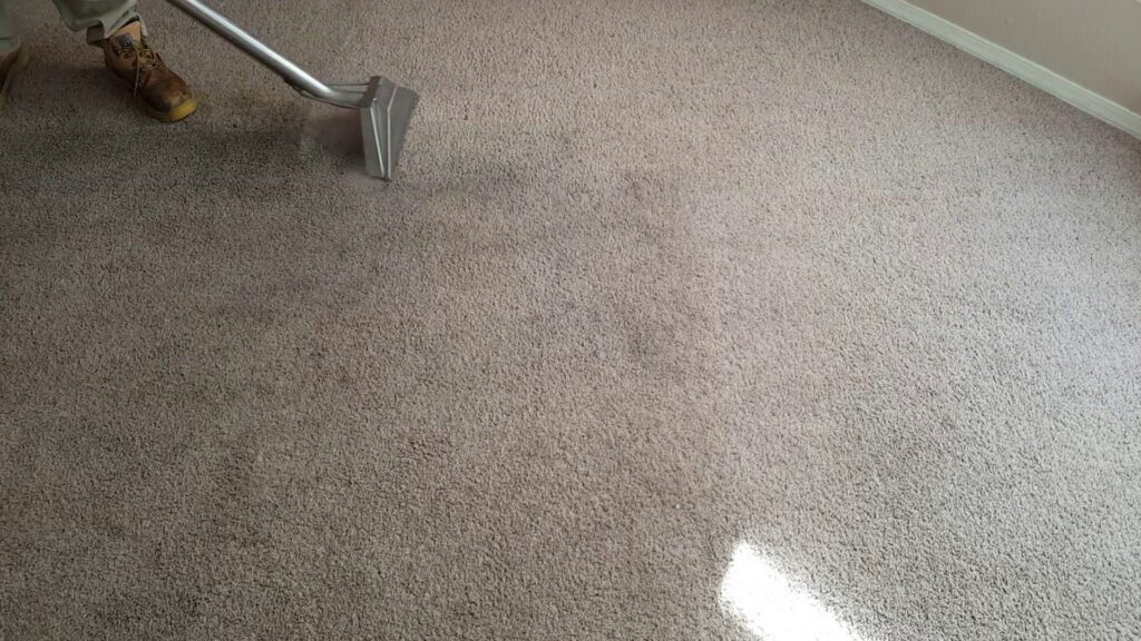 A professional carpet cleaning in progress, showing a clean path on a dirty carpet by Believe That Carpets & Upholstery Cleaning in Colorado Springs, CO.