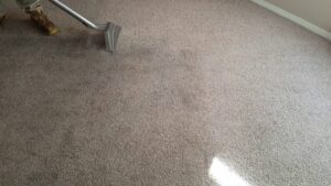 A professional carpet cleaning in progress, showing a clean path on a dirty carpet by Believe That Carpets & Upholstery Cleaning in Colorado Springs, CO.