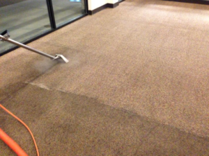 Professional carpet cleaning in progress by Bush Carpet Cleaning in West Jordan, UT.