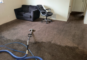Professional carpet cleaning in progress, showing a clean strip on a brown carpet by Crawford's Carpet Cleaning in Oklahoma City, OK.
