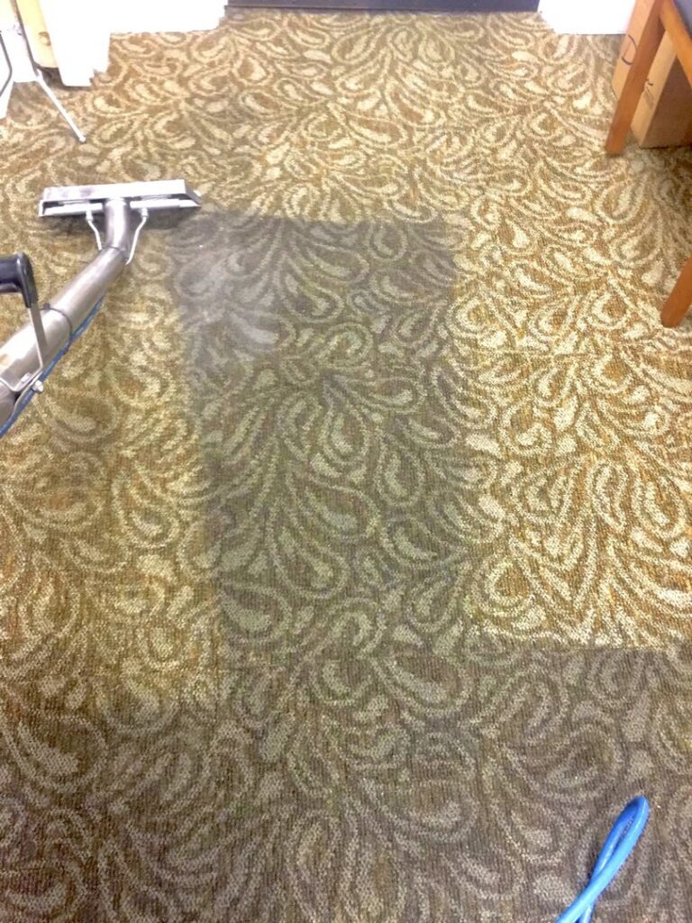 A professional carpet cleaning wand in action, cleaning a patterned carpet for Imperial Carpet Cleaning in San Diego, CA.