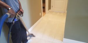 A professional carpet cleaning job in progress, performed by Worm's Quality Carpet Care & Commercial Cleaning, LLC in Seaford, DE.