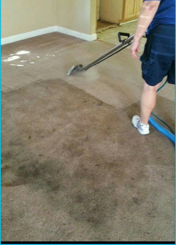 A professional performing a carpet cleaning job with specialized equipment for Benchmark Carpet Cleaning in Virginia Beach, VA.