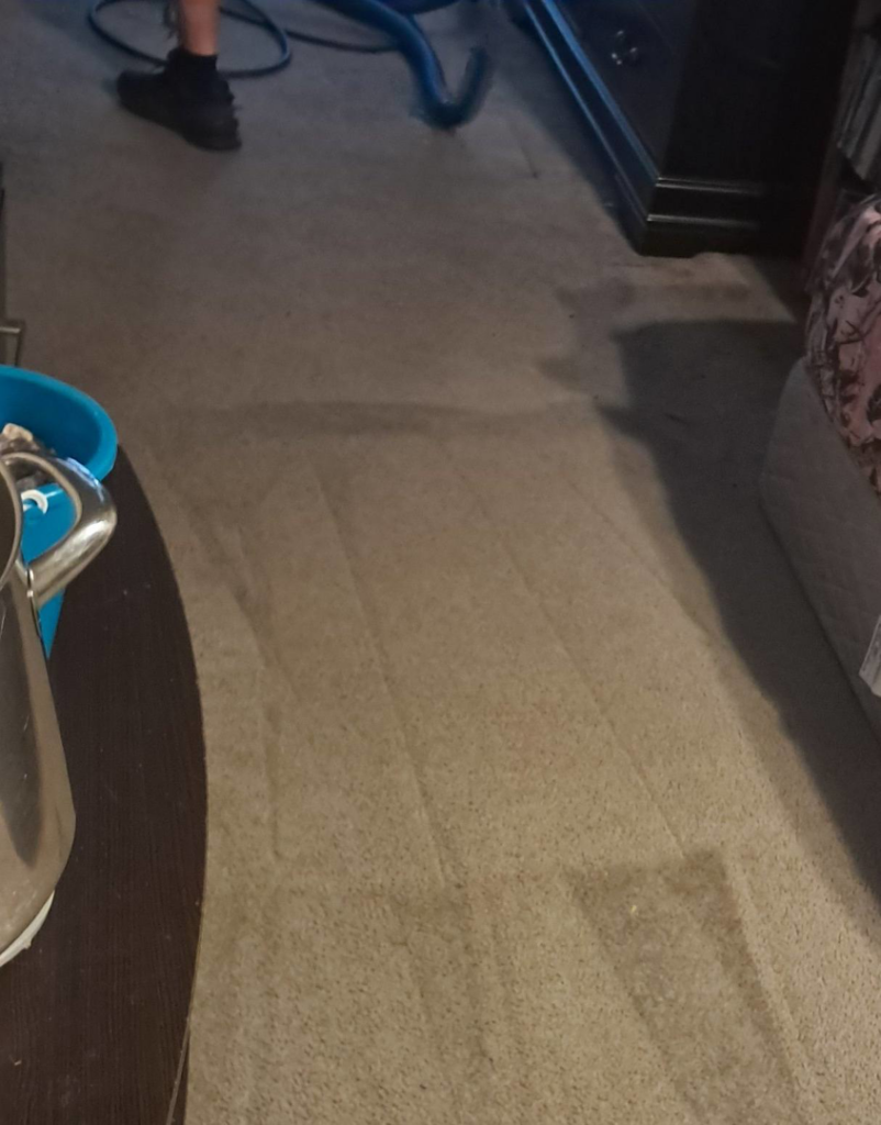 A professional carpet cleaning job in progress, showing clean lines on the carpet by Dream Clean in Montgomery, AL.