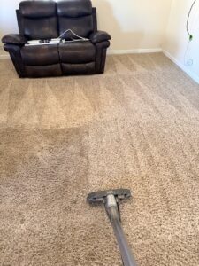 Professional carpet cleaning in progress, showing a clean path, by KD Carpet Cleaning in Cape Coral, FL