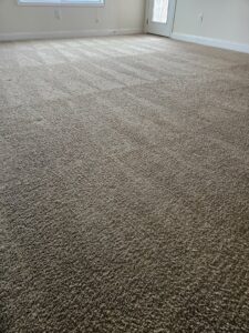 Professional carpet cleaning lines visible on a light brown carpet by Clean Technologies, LLC in Middletown, PA.