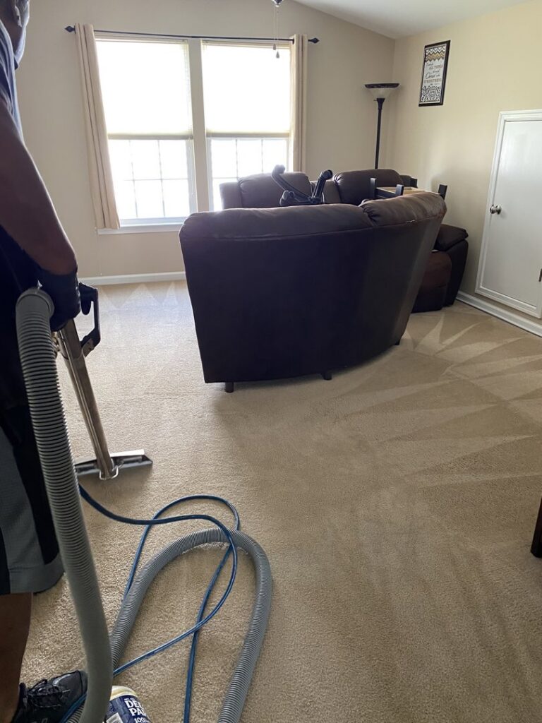 A professional cleaning a living room carpet with a specialized machine, showing cleaning patterns by RVA Steamer in Richmond, VA