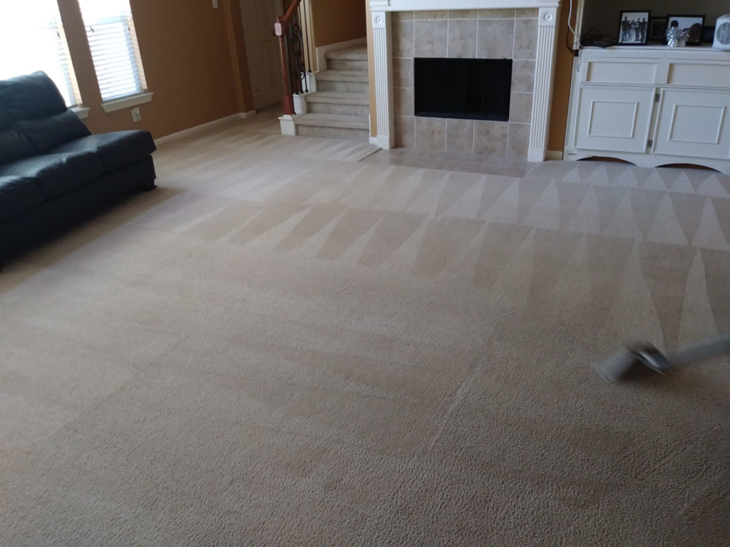 Professional carpet cleaning in a living room, showing clean stripes, by Word of Mouth Cleaning Services in Houston, TX.