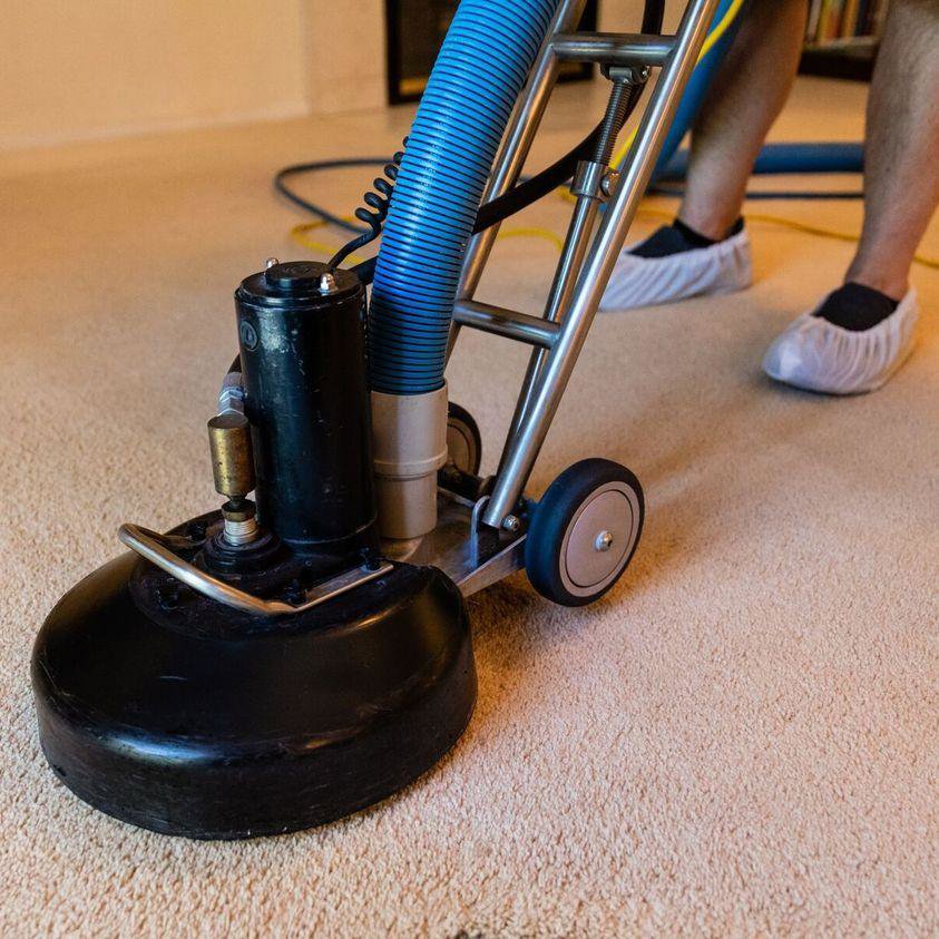 A professional operating a carpet cleaning machine on a residential carpet for AJS Carpet Cleaning, Inc. in Orem, UT.