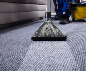 Carpet cleaning machine actively cleaning a grey carpet, showing before and after, by East Valley Carpet Cleaners, Chandler, AZ.