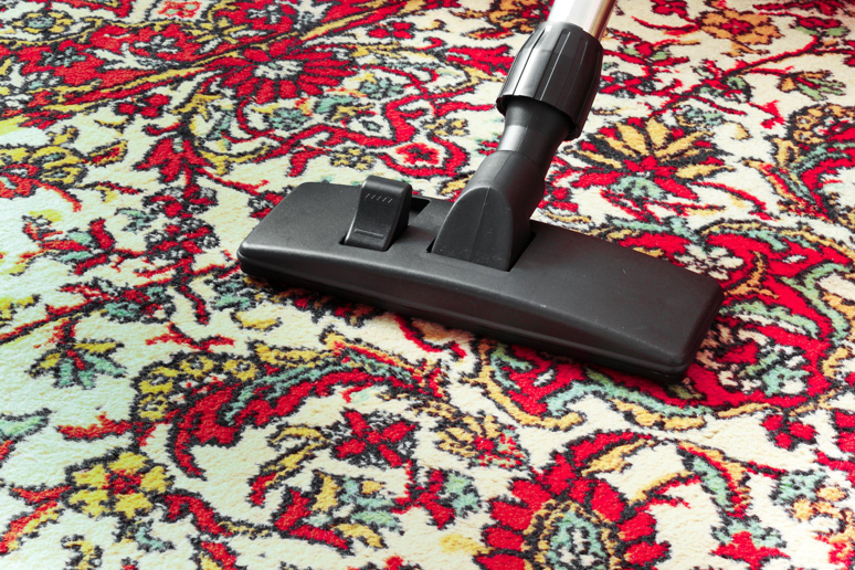 A professional using a carpet cleaning machine to deep clean a grey carpet, showing a clean strip, by Happy Star Carpet Cleaning in Tampa, FL.