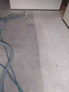 A professional carpet cleaning wand and hose on a carpet, showing the clean and dirty sections by Norris Carpet Care in Watertown, SD.