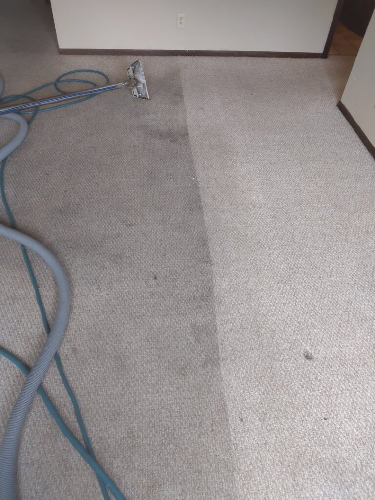 A professional carpet cleaning wand and hose on a carpet, showing the clean and dirty sections by Norris Carpet Care in Watertown, SD.