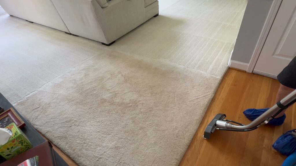 A professional carpet cleaning service in progress, showing a clean section of carpet by Atlanta Top Force Carpet Cleaning in Roswell, GA.