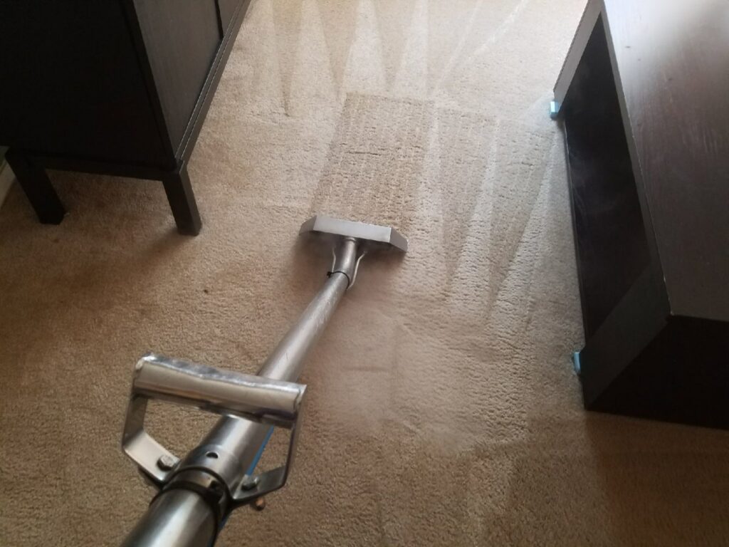 Professional carpet cleaning in progress, showing clean lines on a light-colored carpet by Regal Carpet Cleaning Inc. in Tucson, AZ